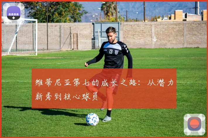 维蒂尼亚第七的成长之路：从潜力新秀到核心球员