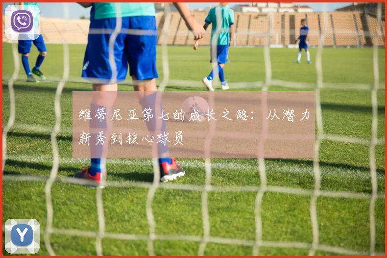 维蒂尼亚第七的成长之路:从潜力新秀到核心球员